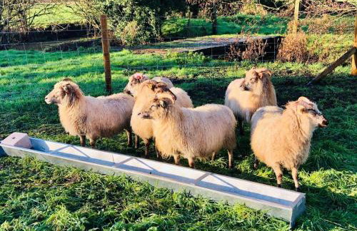 2 Bed in Middleton oc-rfb - Foto 13