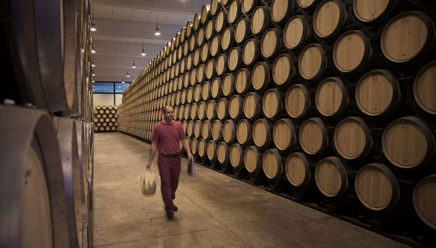 Finca Antigua Winery Visit - Foto 4