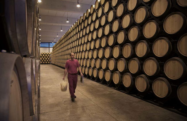 Visite à la cave Finca Antigua - Photo 4