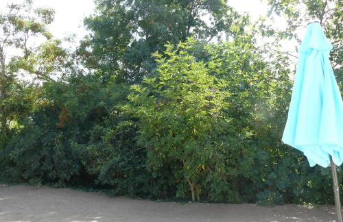 Les Plénitudes du Rivage - Foto 7