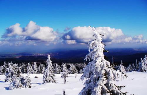Ferienwohnung Osterbrink - Foto 13