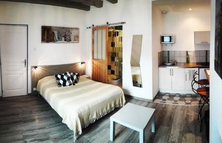 Joli studio au calme 10 min de Tours centre - Foto 1