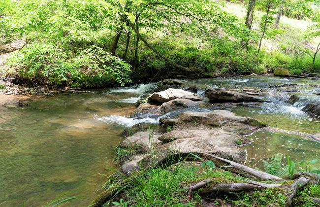 Four Bear Hideaway Coosawattee River Resort! - Foto 41