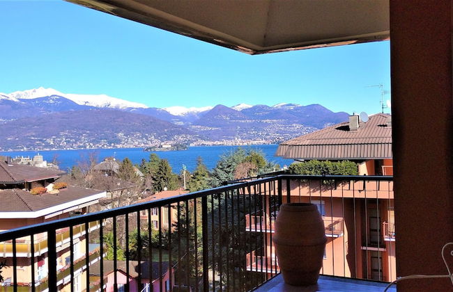 Pettirosso - Photo 28