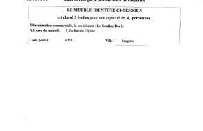 la sardine dorée - Foto 29