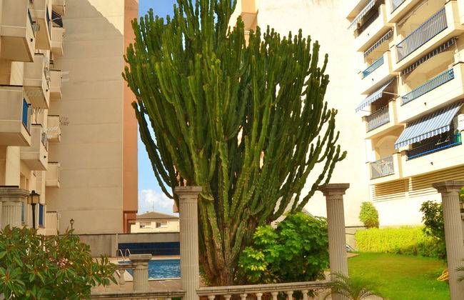 Ordre de Malta - Foto 22