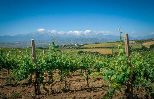 Agriturismo Agrimare Barba - Foto 54