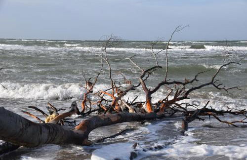 Haus an der Tanne - Foto 52