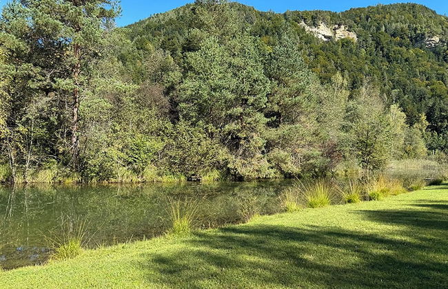 Drauinsel Chalet Linsendorf - Foto 22