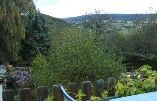 Morbach Hillside Mansion - Foto 54