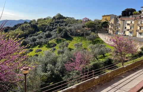 Caldana "La Perla della Maremma" - Foto 30