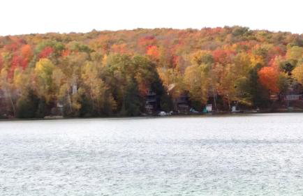 Log Cottage on Blue Lake - Foto 22