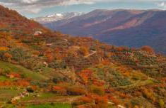 Apartamentos Dacris - Foto 66