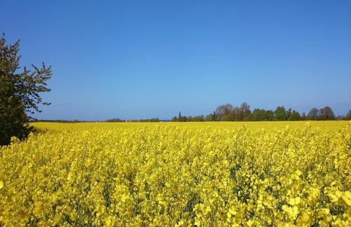 Cozy Bungalow in Stove Germany near Baltic Sea - Foto 45
