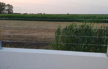 La maison du Petit Pin - Foto 14