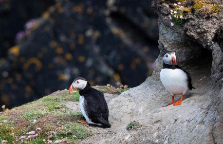 West Horizon holiday cottage - Foto 37