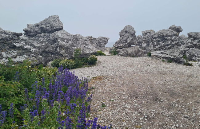 6 Person Holiday Home in Ljugarn-by Traum - Foto 7