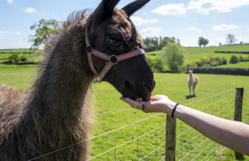 Little Underhill - Photo 55