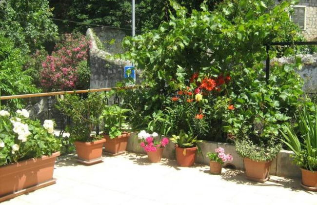 Apartment House Boninovo - One Bedroom Apartment - Foto 20