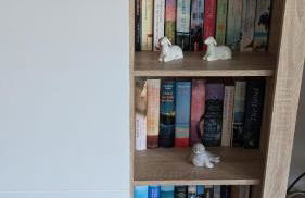 Käptn Seebär - Foto 15