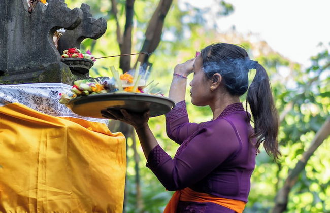 Parvati Retreat Villas - Photo 54