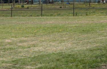 Ridgeway Farm Chilton - Foto 30