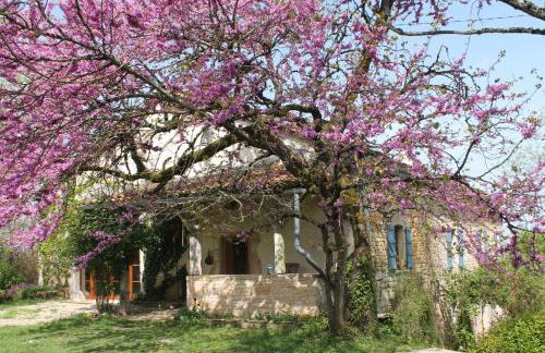 Le Refuge aux étoiles - Foto 9