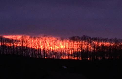 Hirtenrasen 52A - Photo 41