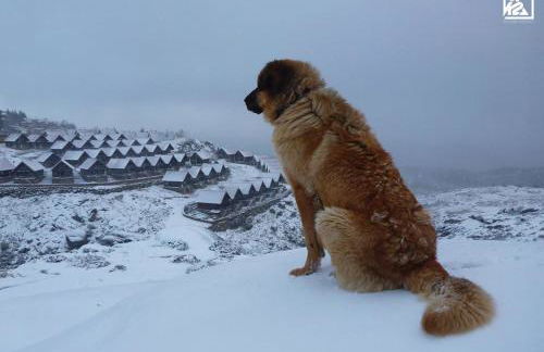 Cota 1500 - Chalé 51 - Penhas da Saúde - Foto 8