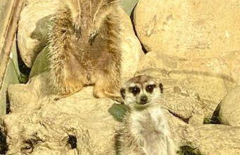 Agriturismo Villa Paradiso Esotico - Photo 10