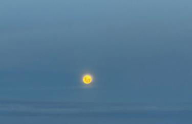 Studio New York - Foto 24