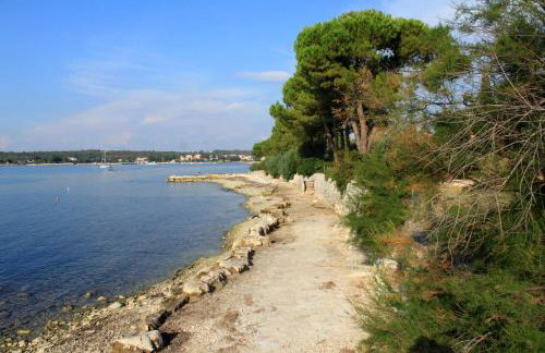 Apartments with parking space Dajla, Novigrad - 6935 - Photo 26