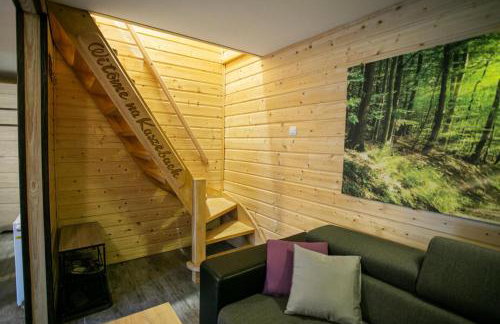 Domek całoroczny SÓWKA na Kaszubach z banią i sauną na wyłączność, wspólny basen i bilard z domkiem Jeleniówka - Ostrowite Leśna Dolina - Foto 64