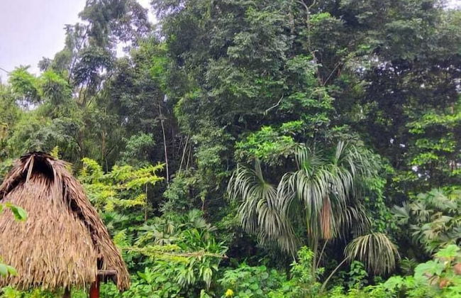 AYAWASKA ATRACTIVO SACHA WASI - Foto 14