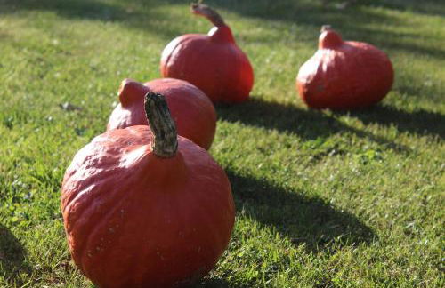 Ferienwohnung SEA - Foto 31