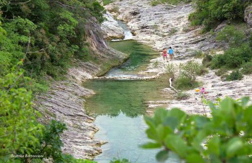 Agriturismo Ca' le Suore - Foto 71