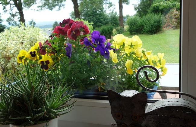 Ferienwohnung Schloss Schönberg - Foto 24