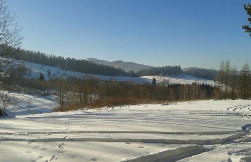 Górska Polana, Stronie Śląskie - Młynowiec - Foto 44