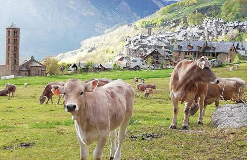 Dúplex con terraza y vistas panorámicas en Taüll - Foto 36