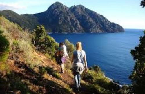 Vos vacances à Lama France Corse - Foto 43