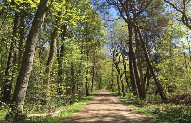 4 Person Holiday Home in Frederiksvaerk-by Traum - Foto 20