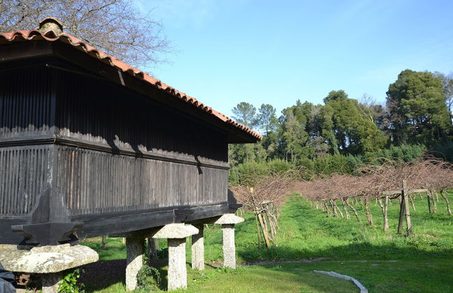 Casas de Pindela - Foto 48