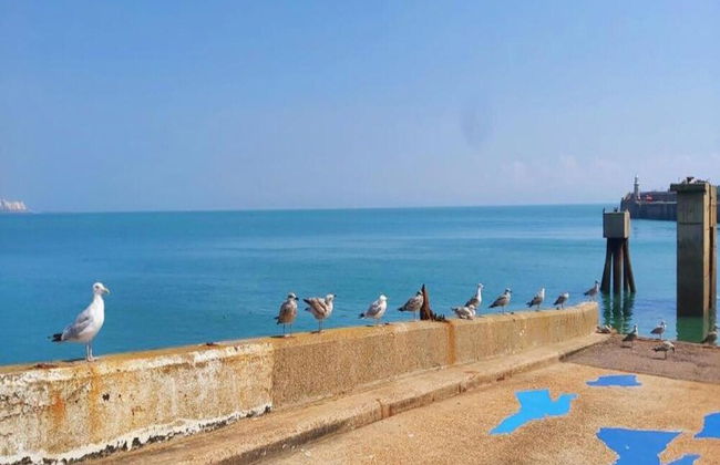 Apartment in Folkestone Near Sandgate Beach - Foto 30