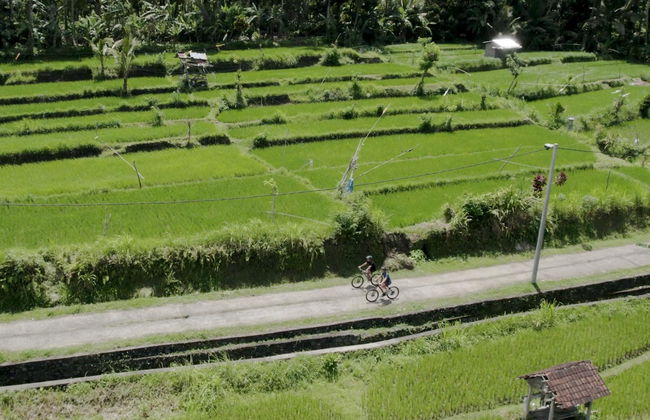 Kaura Bali - Foto 14