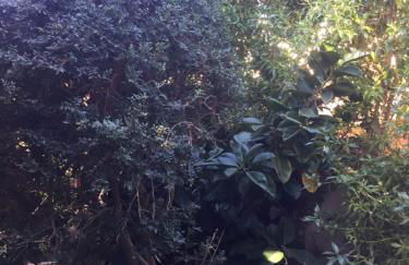 PuntBlanc Residences - Foto 76