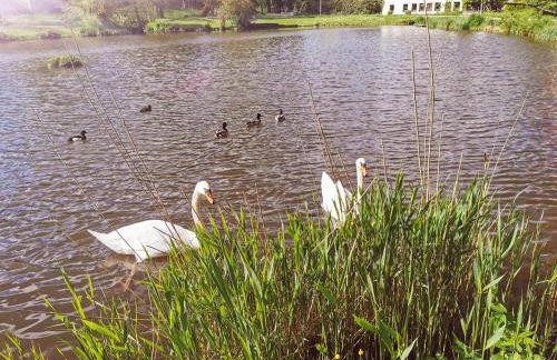SchlossNest Isny - Denkmal Kultur Park Stadt - Foto 55