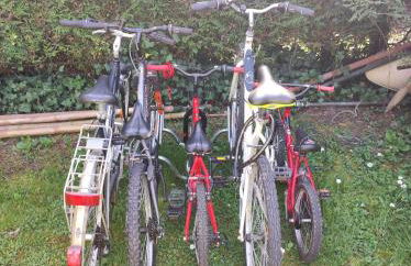 Cabane bleue des Hortillonnages - Foto 24