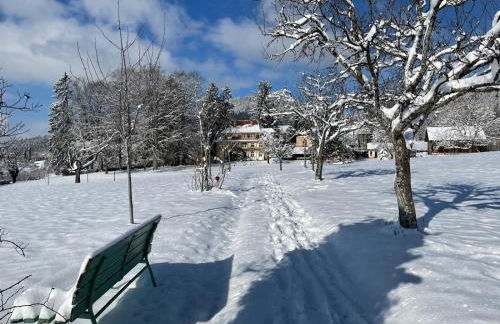 Alpenblick-Steineckhof - Foto 21