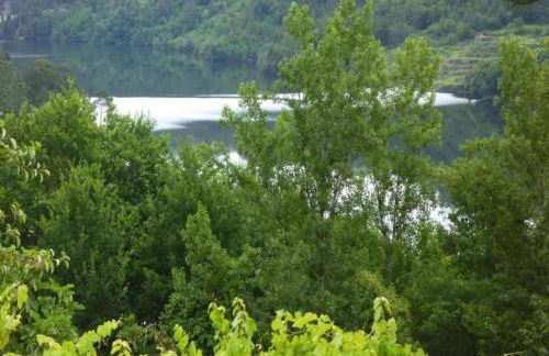 Forest Hideaway Near Douro Valley - Foto 29