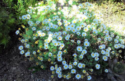 Residence La Carruba - Foto 72